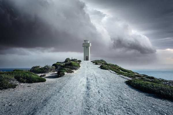 Comment les refuges pour animaux gèrent-ils les cas de maltraitance ?