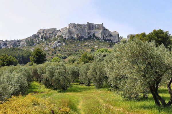 Comment reconnaître les signes de maladie cardiaque chez les chats ?