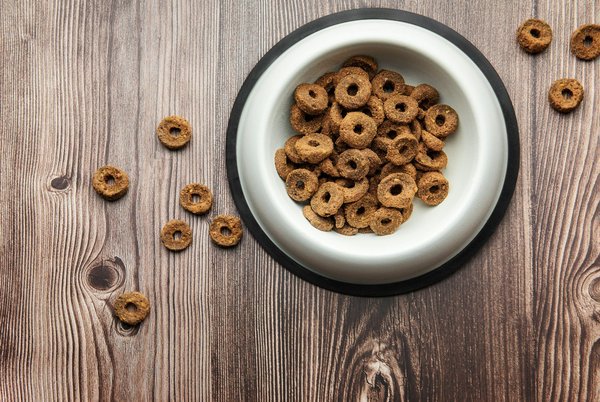 Comment trouver des croquettes françaises et les acheter sur internet ?